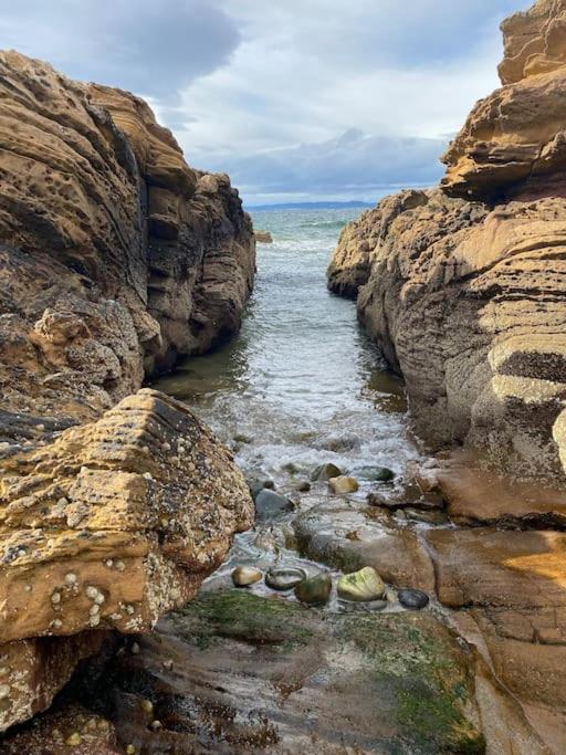 Dolphin View Cottages Portmahomack Bagian luar foto