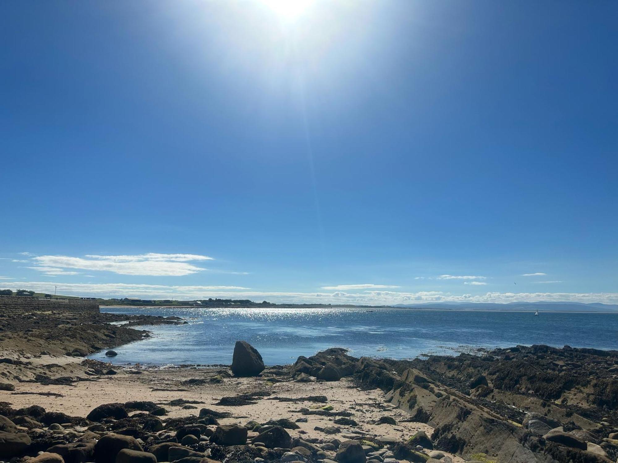 Dolphin View Cottages Portmahomack Bagian luar foto